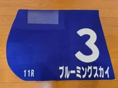 希少 ムシキング ロングバーコード 2003SPRING 春 初期 ムシカード