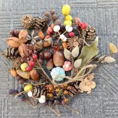 284　木の実セット　サンタクロース　木製プレート付き