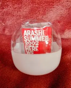 【We are arashi】歴代ライブ ロゴマグネット