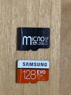 Micno 256GB / Samsung EVO Plus 128GB