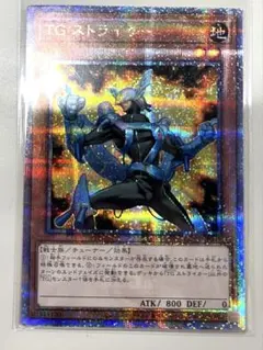 TG ストライカー　クオシク