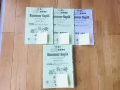 2026年最新】Sapix 5年 夏期講習の人気アイテム - メルカリ