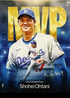 ❣️マックイーン様❣️商談中　4枚口