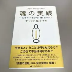 魂の実践 : いろいろやってきたけど、難しかった人へ : Origin.Liv…