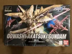 HG 1/144 オオワシアカツキガンダム