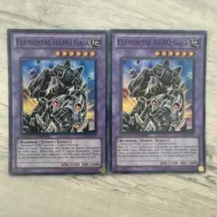 EU版】遊戯王 ネクロガードナー シークレット 英語 英語版 1st - メルカリ