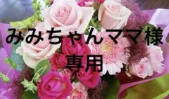 みみちゃんママ様専用