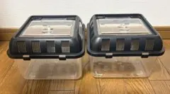 レプティキューブ 2個セットのサムネイル