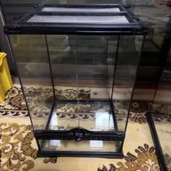 2026年最新】グラステラリウム3045の人気アイテム - メルカリ