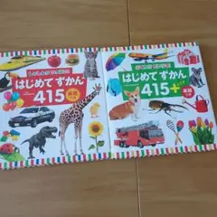 はじめてずかん 415 英語 2冊セット