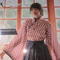 日本代表 前掛け SAMURAI BLUE 一致団結 - メルカリ