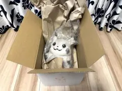 ポケモン 30周年記念 はじまりのピカチュウ