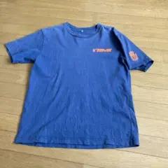 【Tシャツ】TEVA ヴィンテージTシャツ　テバ　色褪せ有りのサムネイル