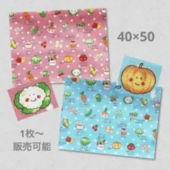 給食ランチョンマット 大きめ スマイルベジタブル＊ピンク×ブルー 2枚セット5