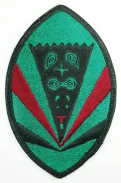 ＵＳＡＦ　１９９ｔｈ　ＦＷ　ワッペン　／　パッチ