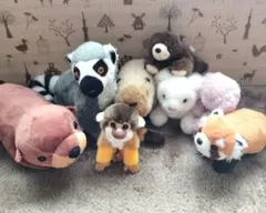 ぬいぐるみ まとめ売り！