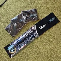 Item thumbnail for item 9fd9fb82-77a1-49c5-b92b-4df1f0cc573c