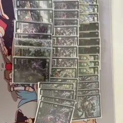 デュエルマスターズ 黒緑ケンジキングダム