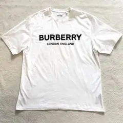 ✨極美品/現行/L✨バーバリーロンドン Tシャツ 全面ロゴ クルーネック 