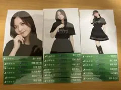 乃木坂46 11th birthday live 生写真 まとめ売り