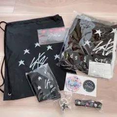 【新品】Stray Kids スキズ アプグレ特典2023
