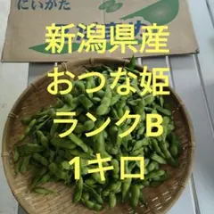 新潟県産　おつな姫1キロ ランクB えだまめ　枝豆　夏野菜のサムネイル