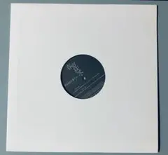 レア　Steady & Co. 春夏秋冬 レコード　12インチ
