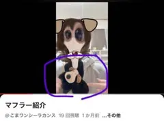 いぬのマフラー なんか鼻が毛まみれ