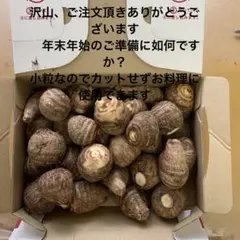 2025年最新】里芋の人気アイテム - メルカリ