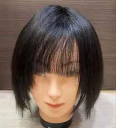 人毛100％ウィッグ　ブラック系