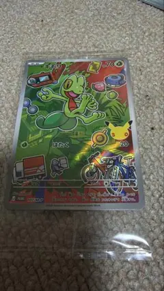 ポケモンカード 30th プロモパック未開封 キモリ、アチャモ、ミズゴロウ