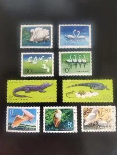 Item thumbnail for item 88e8cdca-5017-480d-9428-644d350ce918