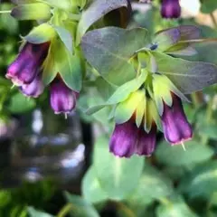 ザッキー様 リクエスト 3点 まとめ商品