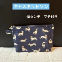 ☆大きめ20センチ マチ付きポーチ キャスキッドソンラミネート生地
