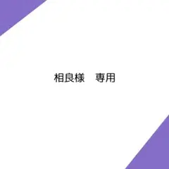 ps5コントローラー 専用出品