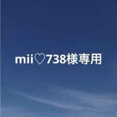 mii♡738様 リクエスト 4点 まとめ商品