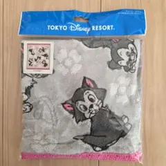 レア‼️ディズニーリゾート フィガロ ウォッシュタオル