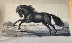 Item thumbnail for item bcc55c15-c586-4de3-8405-452ce0ecb14d