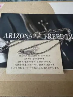 ARIZONA FREEDOM アリゾナフリーダム　極細50cm チェーン