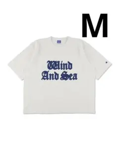 CHAMPION WIND AND SEA REVERSE WEAVE TEE