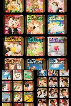 2021、2022、2026まとめ売り