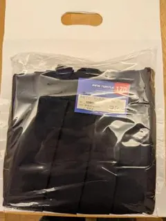 Item thumbnail for item ee5fa377-4274-4761-96f5-1882ac0bf58e