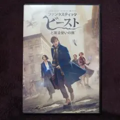 ファンタスティック・ビーストと魔法使いの旅('16英/米)