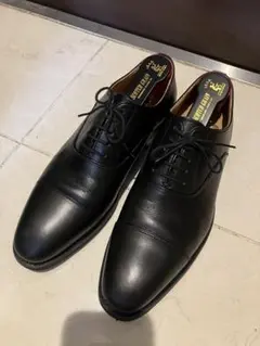 美品SCOTCH GRAIN T0326ストレートチップ24.5~25.5cmのサムネイル
