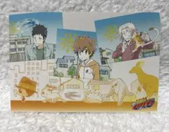 家庭教師ヒットマンREBORN 未来編 DVD 初回限定盤 特典 ポストカード