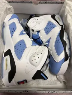 NIKE Air Jordan 6 Retro 
