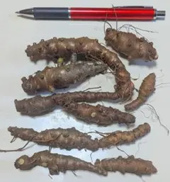 すみっち　様　専用ページ