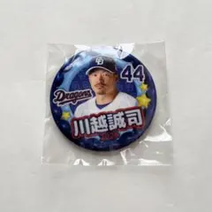 2026年最新】川越誠司の人気アイテム - メルカリ
