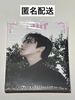 straykids スキズ DO IT CD アコーディオン ハン ジソン