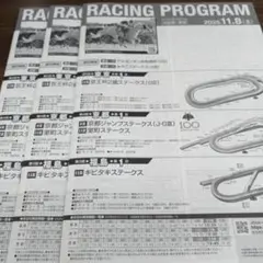 11/8 JRA レーシングプログラム